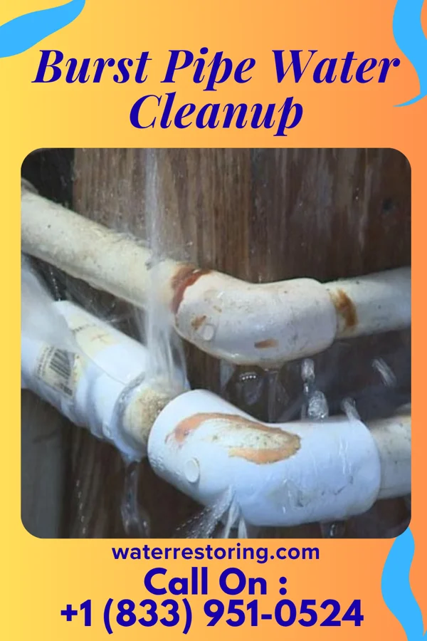 Burst Pipe Water Cleanup in Finneytown, OH