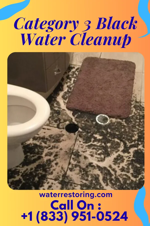 Category 3 Black Water Cleanup in Finneytown, OH