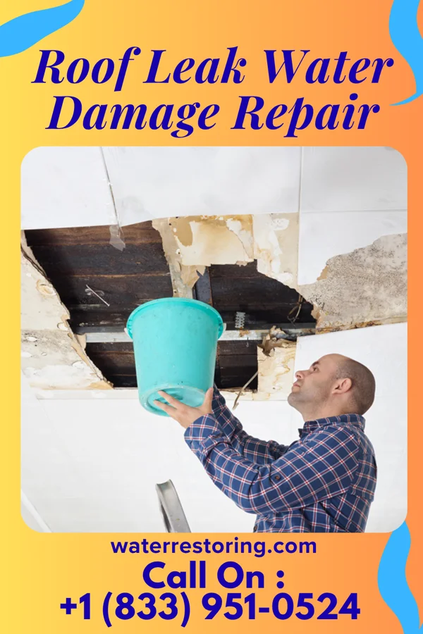 Roof Leak Water Damage Repair in Finneytown, OH