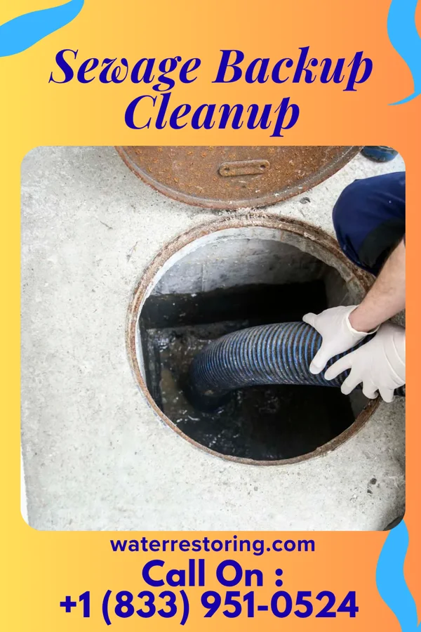 Sewage Backup Cleanup in Finneytown, OH