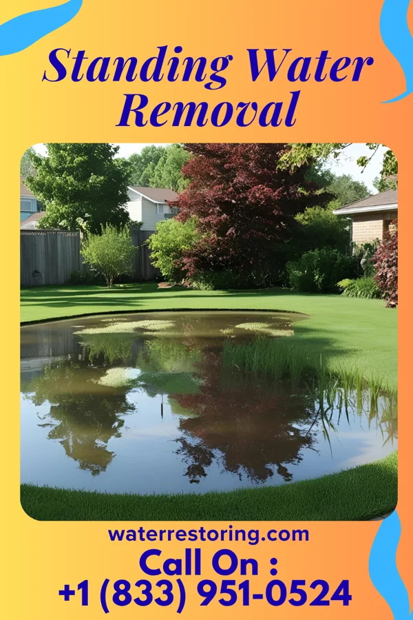 Standing Water Removal in Finneytown, OH